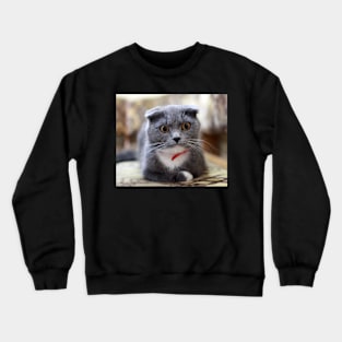 British Shorthair Crewneck Sweatshirt